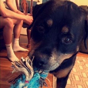 Meet your Posher, Cristina